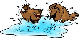 A cartoon of two birds splashing in a pool of water